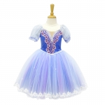 Clara Ballet Costume Customized Ballerina Dance Dress for Nutcracker