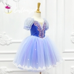 Clara Ballet Costume Customized Ballerina Dance Dress for Nutcracker