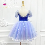 Clara Ballet Costume Customized Ballerina Dance Dress for Nutcracker