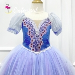 Clara Ballet Costume Customized Ballerina Dance Dress for Nutcracker