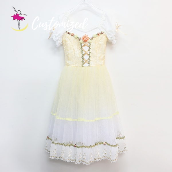 Ombre Color Customized Tutu Classic Romantic Dress for Giselle