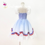 Romantic Ballet Dress for Flames of Paris Customized Classic Ballet Costume