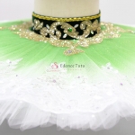 Le Corsaire ballet costumes green 2 pices odalisque Yagp dance tutu #T0378