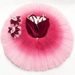 Pancake Professional Ballet Tutu For Sale Red Gradient Color #T0383