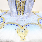 Purple Fairy Adult Ballet Costume Gilded Edge High-Quality #T0393