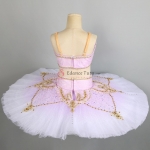 Odalisque Le Corsaire Profesionales Pink Tutus De Ballet 2 Pieces #T0435