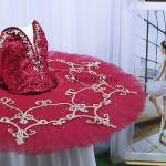 Classical Don Quixote Red Ballet Tutu For Sale #T0452