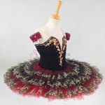 Professional Ballet Dance Costume Don Quixote #T0482