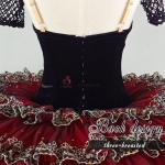 Don Quixote Classicl Dance Costumes For Ballet Act 3 #T0502