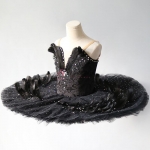 Professional Yagp Black Swan Ballet Costumes Variation Feather Decorate #T0514