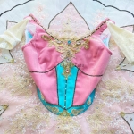 Performance Ballet Dance Costumes Sugar Plum Fairy #T0527