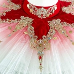 Red Don Quixote Ballet Costumes 2 Pieces With Gloden Sequin (Competition-level) #T0533