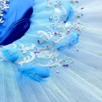 Blue Bird Ballet Professional Tutu Blue Gradient Color #T0551