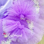 Sleeping Beauty Professional Ballet Tutu Customized Ballet Costume for Lilac Fairy