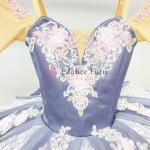 Classical Yagp Gray Sleeping Beauty Ballet Tutu #T0645