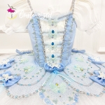 Fairy Doll Ballet Tutu Customized Professional Ballet Costume